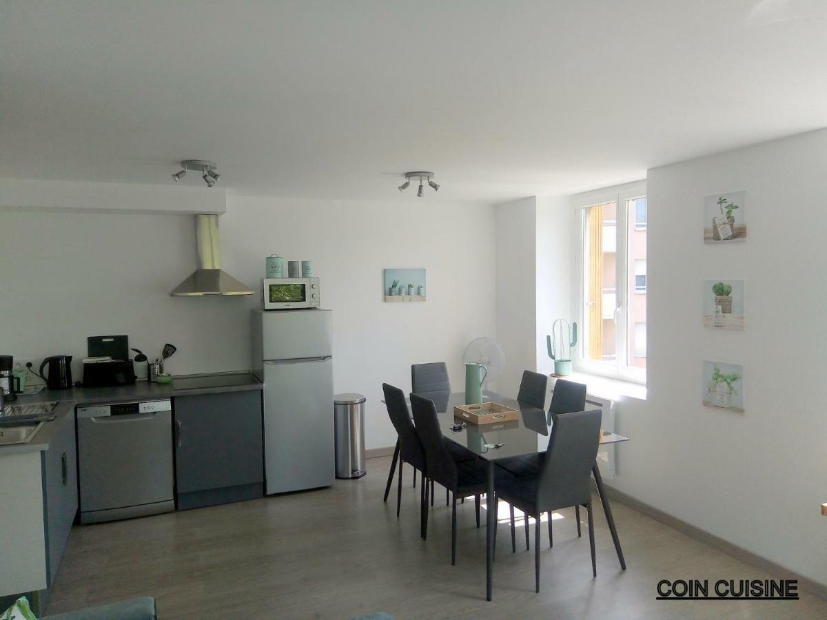 Les Cactus Apartamento Saint-Etienne  Exterior foto