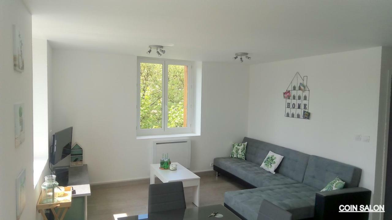 Les Cactus Apartamento Saint-Etienne  Exterior foto